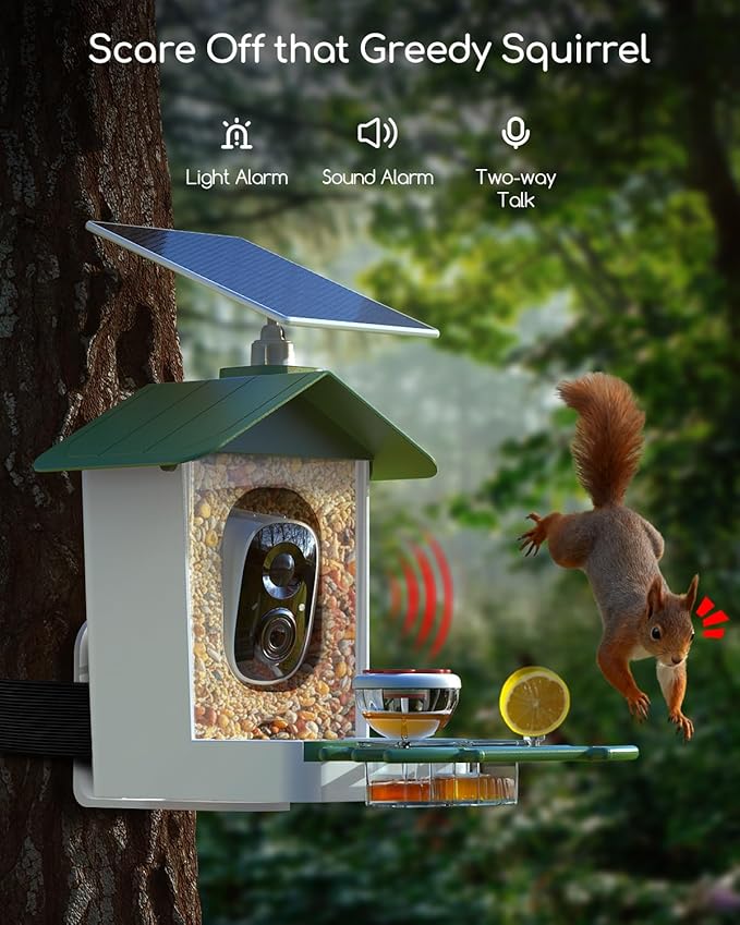 COOAU 5MP Smart Bird Feeder with Camera, Faster Solar Powered Charging, Outdoor Birdhouse Cam with Precise AI Birds Recognition, Live Video Watching and Notifications, Ideal Gift for Bird Lovers,Green