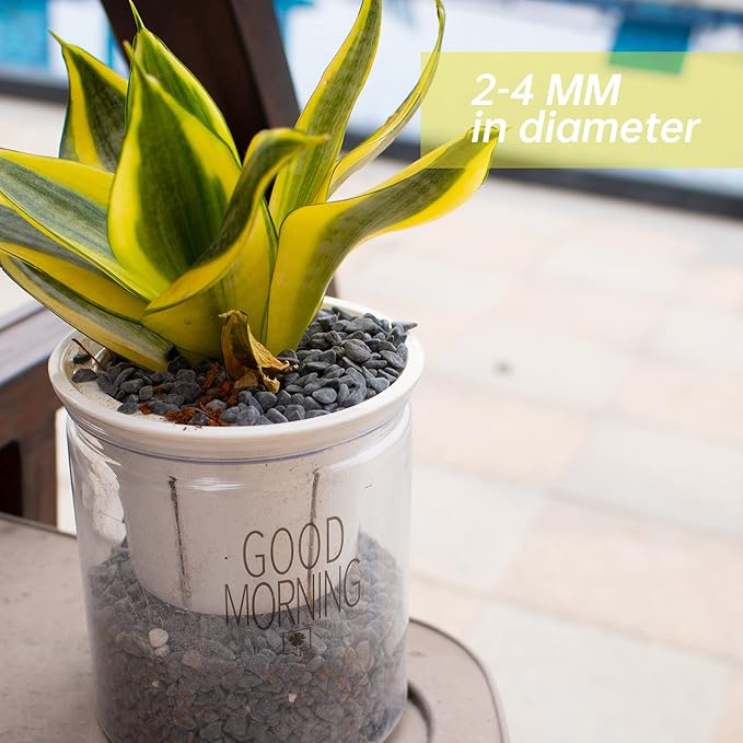 Anothera Stones for Plants Smooth Natural Black River Rocks,7LB Plant Aquarium Gravel Stones for Succulents Bonsai Terrarium Vase Fillers Fish Tank Indoor Outdoor Garden Decor(6-9 mm)