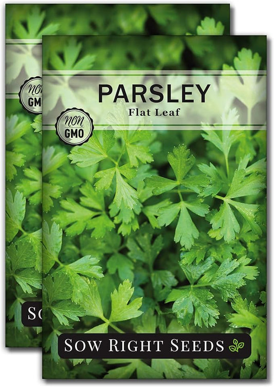 Sow Right Seeds - Flat Leaf Parsley Seed for Planting - Non-GMO Heirloom Packet with Instructions to Plant and Grow a Kitchen Herb Garden - Indoor or Outdoor - Great for Hydroponics Growing (2)