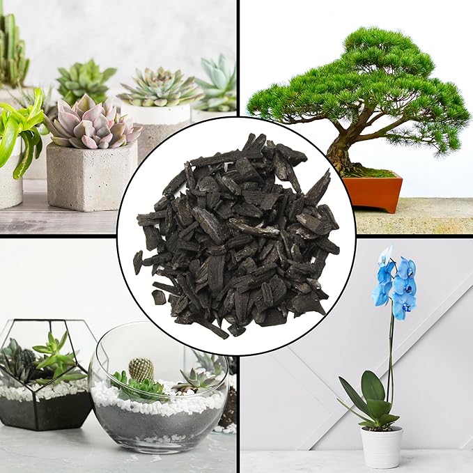 Horticultural Charcoal for Indoor Plants (30 Quarts), Hardwood Soil Additive for Orchids, Terrariums, and Gardening