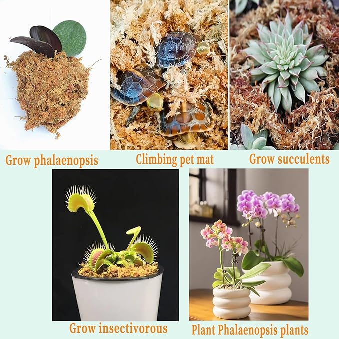 1.2LBS Premium Sphagnum Moss, Reptiles Dried Moss, Plants Propagation Plant Growing Medium for Monstera Orchid Potting Mix (Appx 30 QT)