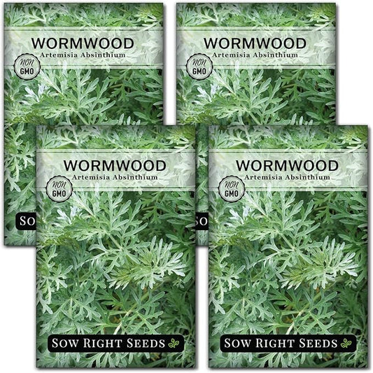 Sow Right Seeds - Wormwood Seeds for Planting - Non-GMO Heirloom Packet with Instructions to Plant & Grow an Outdoor or Indoor Herb Garden - Sagewort Repels Mosquitoes - Medicinal Worm Wood Herb (4)
