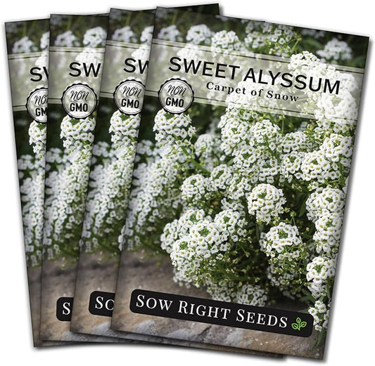 Sow Right Seeds - Sweet Alyssum White Carpet of Snow Flower Seeds for Planting - Non-GMO Heirloom Packet with Instructions to Plant in Your Garden - White Perennial - Groundcover with Blooms (4)