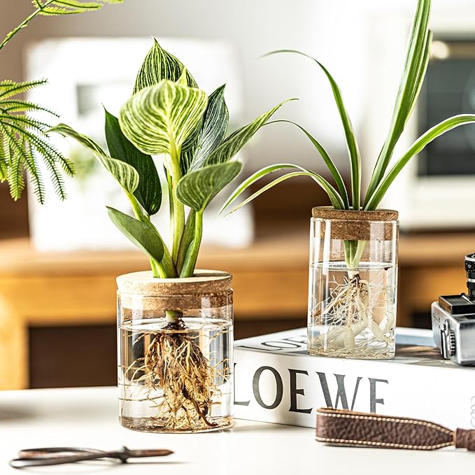 Glass Propagation Stations for Plants -Desktop Flower Vases,Propagation Flower Vases Set – 2 Sizes Planter Propagated Jars,for Plant Cuttings,for Living Room, Bedroom Decoration,Home,Office Decor(12)