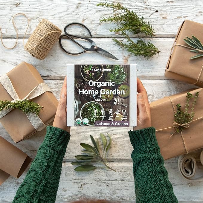 Organic Indoor Lettuce & Greens Garden Starter Kit - Certified USDA Organic Non GMO - Includes Spinach, Kale, Red Romaine, Loose Leaf Lettuce Seeds for Planting, Potting Soil, Peat Pots