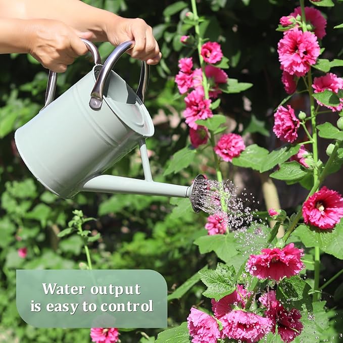 Watering Can for Outdoor Plants and Indoor Plants,1 Gallon Metal Watering Can for Garden Flower,Galvanized Steel Metal Water Can Watering Pot with Sprinkler Head