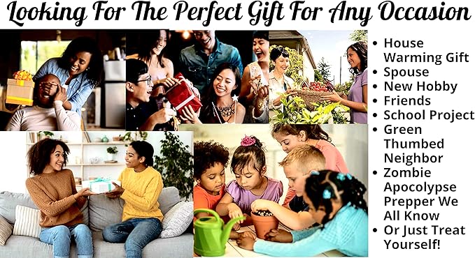 B&KM Farms Heirloom Seed Vault, 20 Varieties, 20,000+ Non-GMO Seeds, Long-Term Storage (Regular, Small)