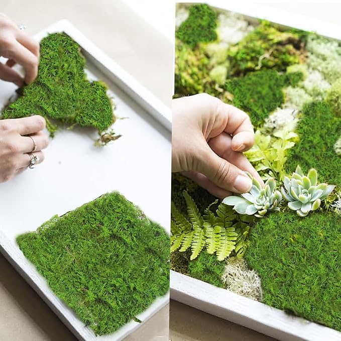 2 Pcs Preserved Sheet Moss for Potted Plants 2 sq.ft. Dried Natural Preserved Moss Mat Green Moss Sheets for Planters Crafts Woodland Decor Garden Party Decorations Wall Art DIY Project Green