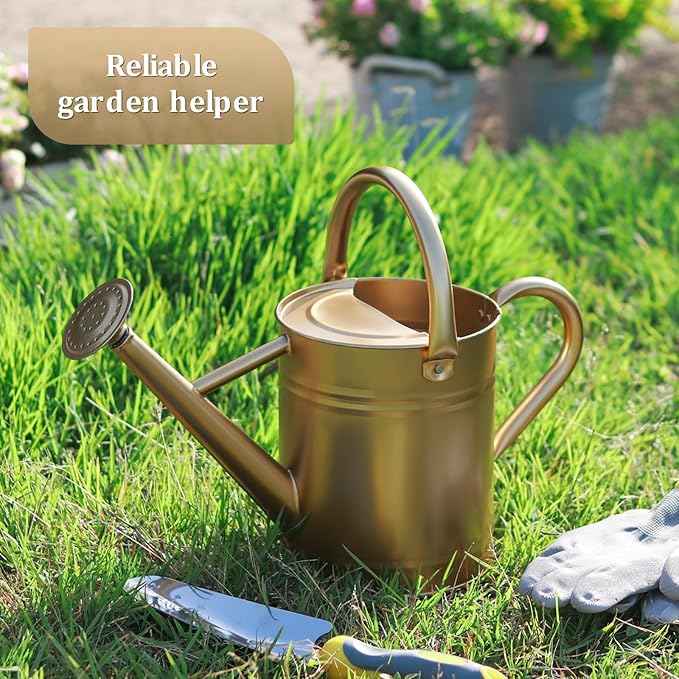 Watering Can for Outdoor Plants and Indoor Plants,1 Gallon Metal Watering Can for Garden Flower,Galvanized Steel Metal Water Can Watering Pot with Sprinkler Head