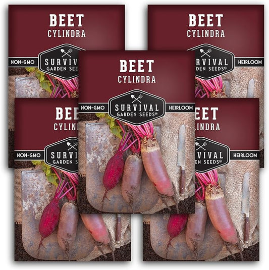 Survival Garden Seeds - Cylindra Beet Seed for Planting - 5 Packs with Instructions to Plant and Grow Dark Red Beets in Your Home Vegetable Garden - Non-GMO Heirloom Variety - Vegetable Seed
