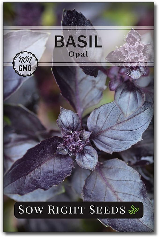 Sow Right Seeds - Opal Basil Seeds for Planting - Non-GMO Heirloom Packet with Instructions to Plant Indoors or Outdoor - Great for Hydroponics or Growing a Kitchen Herb Garden - Purple Leaves (1)