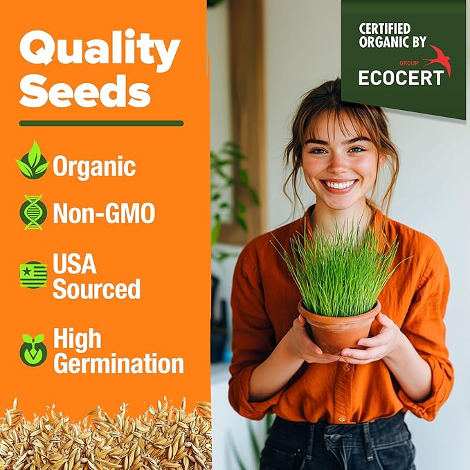 HOME GROWN Organic Cat Grass Seeds Pack (4oz) - Non-GMO Heirloom Cat Grass Seeds for Indoor Cats - Oat and Barley Pet Grass - Hairball Relief
