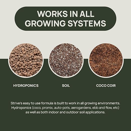 Strive Fertilizer Starter Kit Combo - Veg + Bloom General Hydroponic Nutrients - Indoor, Outdoor and Soil Growing Plant Food - Booster for Vegetables, Succulents, Flowers
