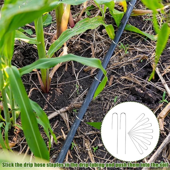 200Pcs Irrigation Drip Tubing Landscape Pins J Shape Garden Stakes 5 Inch Landscaping Staples Lawn Pins for Drip Tubing (Hold Drip Tubing Up to 5/8" Diameter)