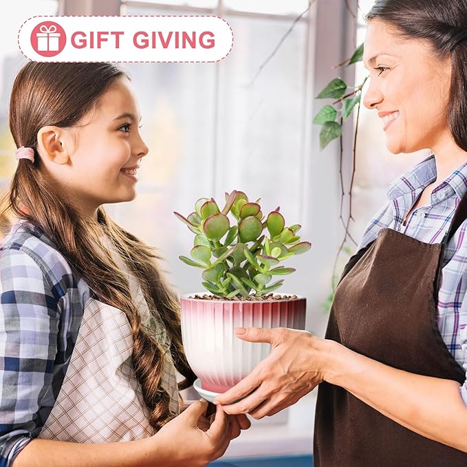 6.7 + 5.5 Inch Plant Pot, Ceramic Planter with Drainage and Saucer, Ceramic Pots for Plants, Indoor Plant pots,Ceramic Flower pots(Pink + White, Plants NOT Included)