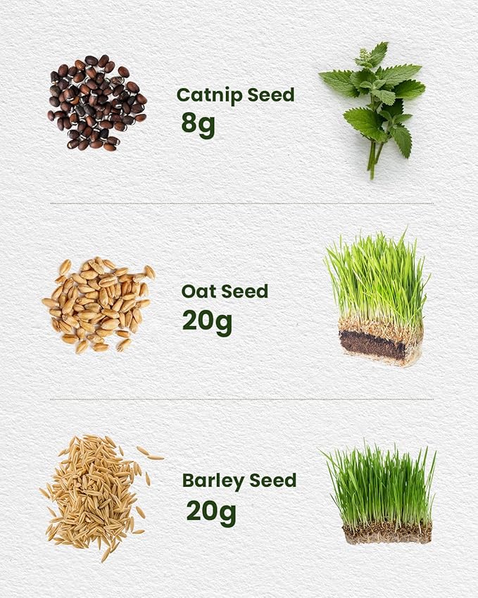 Cat Grass Seeds for Indoor Cats - Plant Catnip and Oat Grass, Heirloom Seed Packet for Indoor Planting Fun