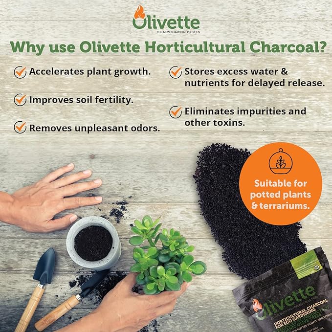 Olivette Horticultural Activated Charcoal for Plants by, Terrarium Horticulture Moisture Absorbers, Terrarium Supplies, USDA Organic Certified 1 Bag