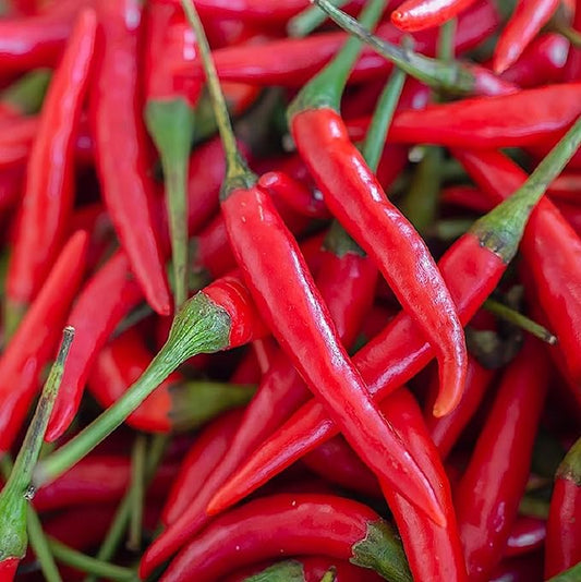 Cayenne Pepper Seeds for Planting Outdoors | Non GMO Heirloom Seed Packets | Full Planting Instructions to Plant & Grow Vegetables in Home Garden | 100 Cayenne Pepper Seeds Per Packet, 2 Packets