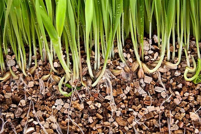 Unleash The Potential of Your Plants with Gardenera's Horticultural Vermiculite - The Perfect Soil Amendment for Optimal Growth - 4 Quart