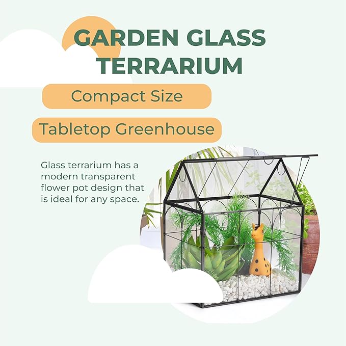 Window Garden Glass Terrarium with Lid - 9x11x6-Inch Indoor Greenhouse Plant Terrarium Decor Planter Dome - Terrarium Kit Tabletop Greenhouse - Plant Accessories Ideal Gift for Nature Lovers