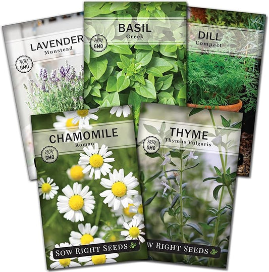 Sow Right Seeds - Dwarf Herb Seed Collection for Planting - Munstead Lavender, Greek Basil, Compact Dill, Roman Chamomile & Thyme to Grow a Home Garden - Compact Varieties - Grow Your Own Fresh Herbs