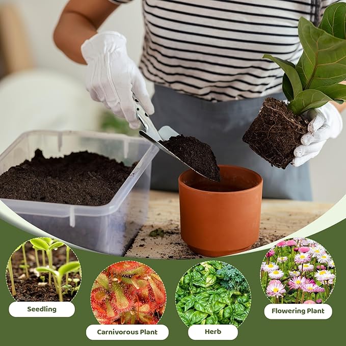 Peat Moss for Plants 1qt, Loam Sphagnum Moss Soil for Gardening, Organic Garden Growing Soil Amendment and Media for Flowers, Vegetables, Herbs, Orchid, Indoor Houseplant