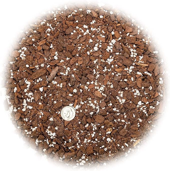 Organic Five Holes Monstera Soil Mix - Expertly Formulated for Strong and Healthy Roots - 2 Quart