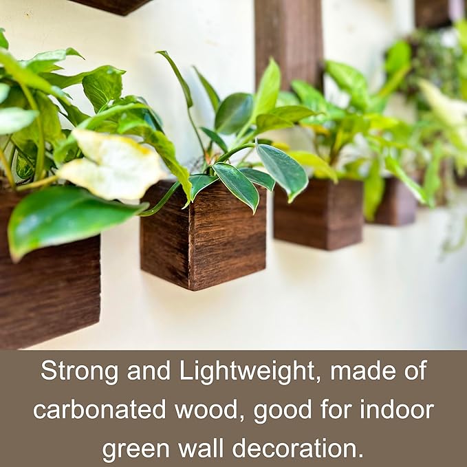 LaLaGreen Wood Planter Boxes (4 Pack, 4x4 Inch) Small Square Wooden Wall Mounted Flower Pot for Indoor Plants, Window Box Mount Hanging Herb Planters Outdoor Plant Holder Vertical Garden Home Decor