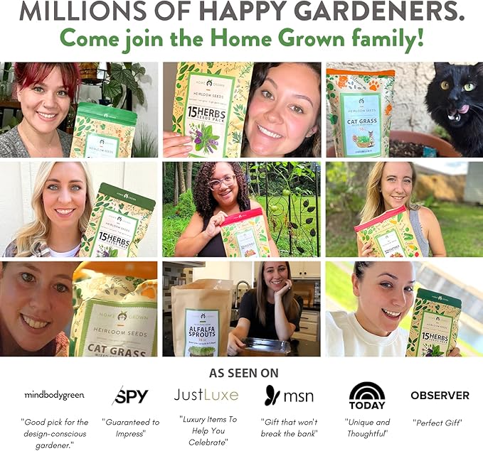 HOME GROWN 12 Winter Vegetable Seeds - Heirloom, Non-GMO Fall & Winter Vegetable Seeds for Planting Home Garden: Bean, Beet, Broccoli, Cabbage, Carrot, Cauliflower, Kale, Parsnip, Squash, Chard & More