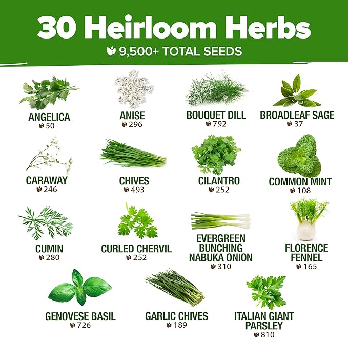 HOME GROWN 30 Herb Seeds Pack | 9,500 Non-GMO, Heirloom Seeds | Indoor & Outdoor Planting | Culinary Herb Seeds Variety Pack | HG30H Perfect for Hydroponic Gardens | Parsley, Rosemary, Thyme & More