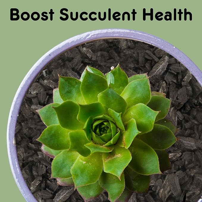 Horticultural Charcoal for Indoor Plants (1 Quart), Hardwood Soil Additive for Orchids, Terrariums, and Gardening