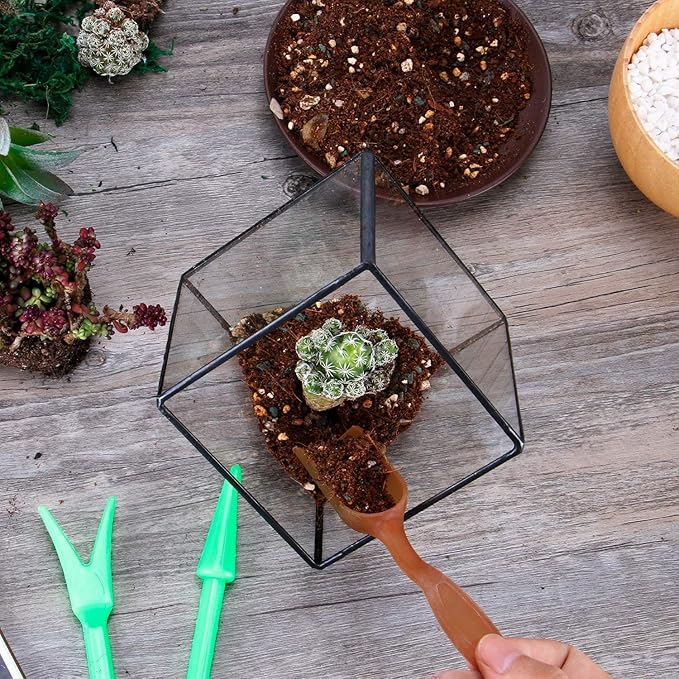 ELEGANTLIFE Glass Geometric Plant Terrarium Container, Flower Pot Tabletop Planter Decor Glass Display Box Succulent & Air Planter for Home Garden Office Decoration(Black Cubic Set of 2)