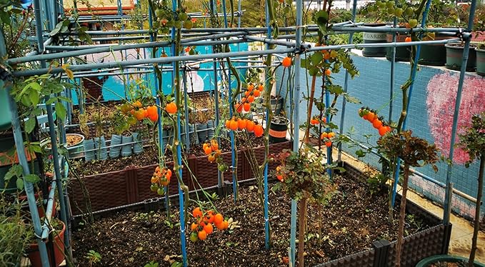 20QT Organic Perlite Horticultural Soil Amendment for Plants and Enhanced Drainage Enhanced