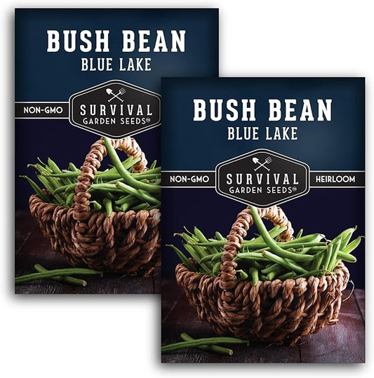 Survival Garden Seeds - Blue Lake Bush Bean Seed for Planting - 2 Packets with Instructions to Plant & Grow Green Stringless Snap Beans in Your Home Vegetable Garden - Non-GMO Heirloom Variety