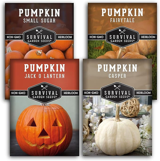 Survival Garden Seeds Pumpkin Collection Seed Vault - Non-GMO Heirloom Seeds for Planting Vegetables - Casper, Fairy Tale, Jack O'Lantern, Small Sugar Pumpkins for Growing in Your Vegetable Garden