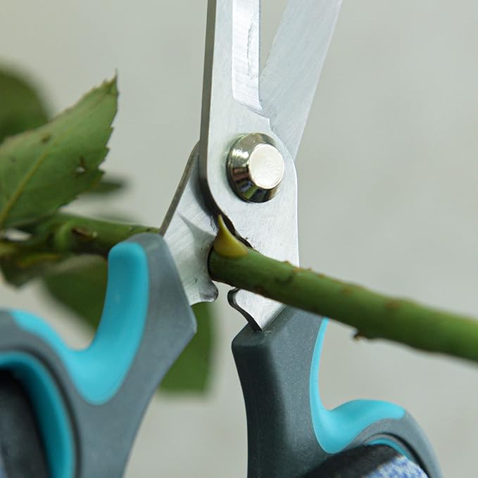 CYRUS Garden Shears Pruner Secateurs Pruning Scissors Flower Sharp Gardening hand tools Florist Bonsai Cutters Rose Snips