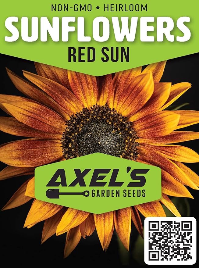 Sunflower Seeds for Planting - Grow Unique Sun Flowers in Your Garden - 25 Non GMO Heirloom Seeds - Full Planting Instructions for Easy to Grow Red Sun Sunflowers - Great Gardening Gifts (5 Packets)