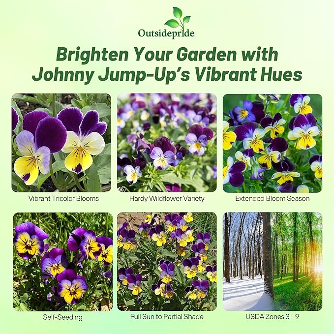Outsidepride 1/8 lb. Perennial Viola Johnny Jump Up Flower Seeds for Planting