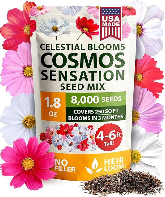 HOME GROWN Cosmos Seeds Bulk Pack (1.8 oz) Annual Flower Seeds for Planting - Heirloom Pollinator Friendly Wildflower Seeds - Grow Cosmo Plant Garden