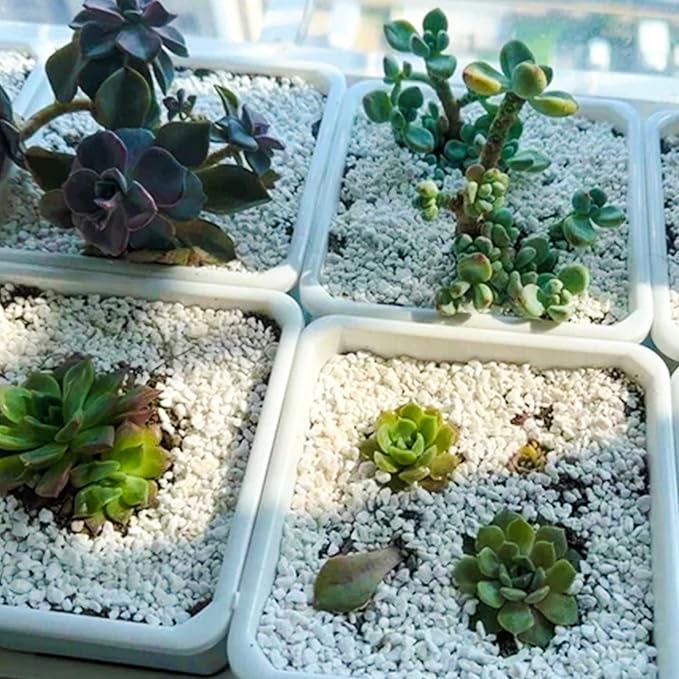 29 Quarts Perlite for Plant Soil - Amendment for Potting Soil, Improves Drainage and Aeration for Soil,Better for Root Growth…