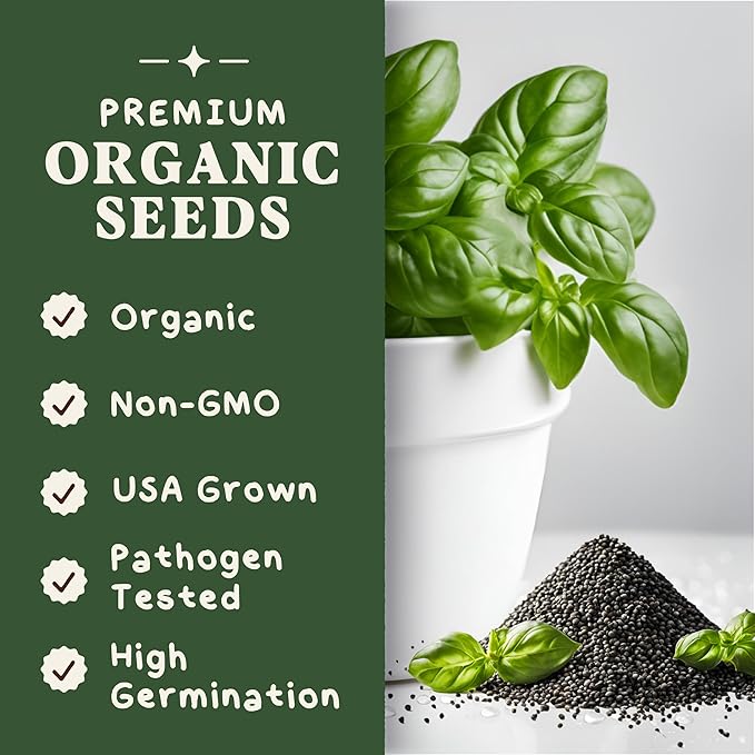 Organic Basil Herb Seeds for Indoor Gardening or Planting Outdoors, Non-GMO and USDA Certified Herb Seed Packets, 250 Seeds/1 gram (Genovese Basil)