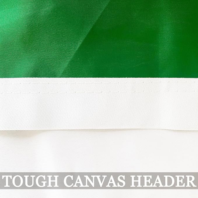 Double Sided Irish Flag 4x6 Outdoor Heavy Duty- 3Ply 240D 4 Rows Stitched- Ireland 4x6 Flag- UV Fade Resistant With Canvas Header & 2 Brass Grommets