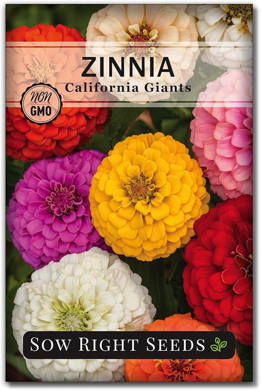 Sow Right Seeds - California Giants Mix Zinnia Seeds for Planting - Non-GMO Heirloom Packet to Grow Your Flower Garden - Attract Bees and Butterflies - Great to Cut and Come Again - Summer Annual (1)