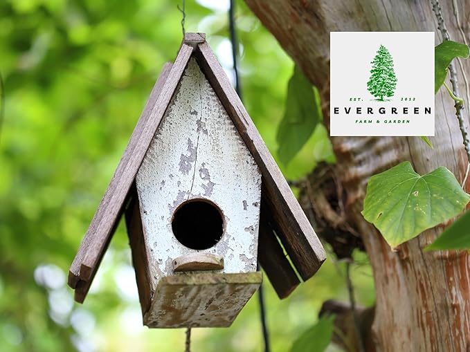 Birdseed Cylinders with Hole - Bird Seed for Outside Wild Birds (Small Cylinder, Tweet Treats 6pc)