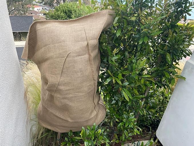 Burlap Bags for Vegetables & Gardening, 22" X 36"- Jute Sacks Perfect for Kids - Plant Covers - Holds Up to 50lbs - Food Grade (Burlap Sack, 100, Count)
