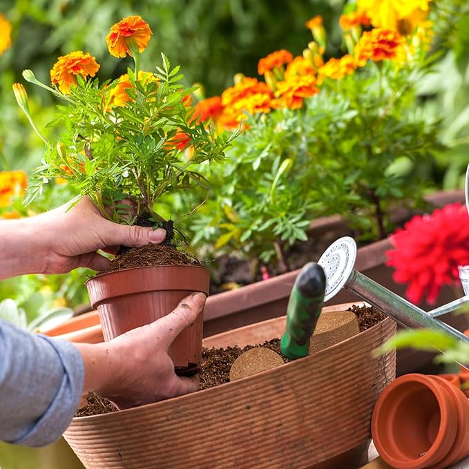 ZeeDix 50pcs 50mm Coco Coir Pellets, Compressed Soil Pellets Coconut Coir Seed Starter Discs Seed Starting Pellets Soil Discs Potting Soil for Outdoor Plants Flowers Bonsai Herbs and Vegetables