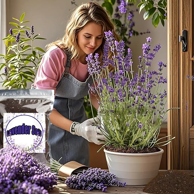 Premium Lavender Potting Mix 4qt, Promotes Lavender Blossoming, Perfect for Indoor and Outdoor Gardening