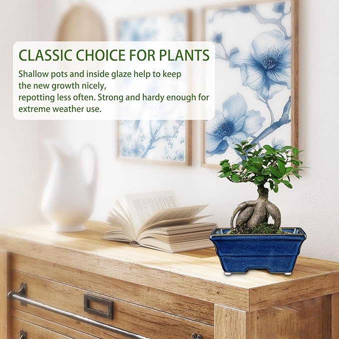 Bonsai Pots Shallow Succulent Planters for Live Bonsai Trees Set of 2, 6.3" Ceramic Pot for Succulents Indoor with Drainage Hole, Outdoor Cactus Plant Bonsai Pot,Ceramic Flower Pot