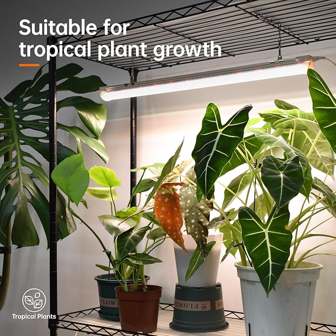 Bstrip Plant Shelf with Grow Light, Metal Plant Stand with Adjustable Rack and Wheels, 5 Pack 24W Full Spectrum Grow Light Strip for Indoor Plants, Seed Starting, Seed Tray, 29.5"x13.8"x71"