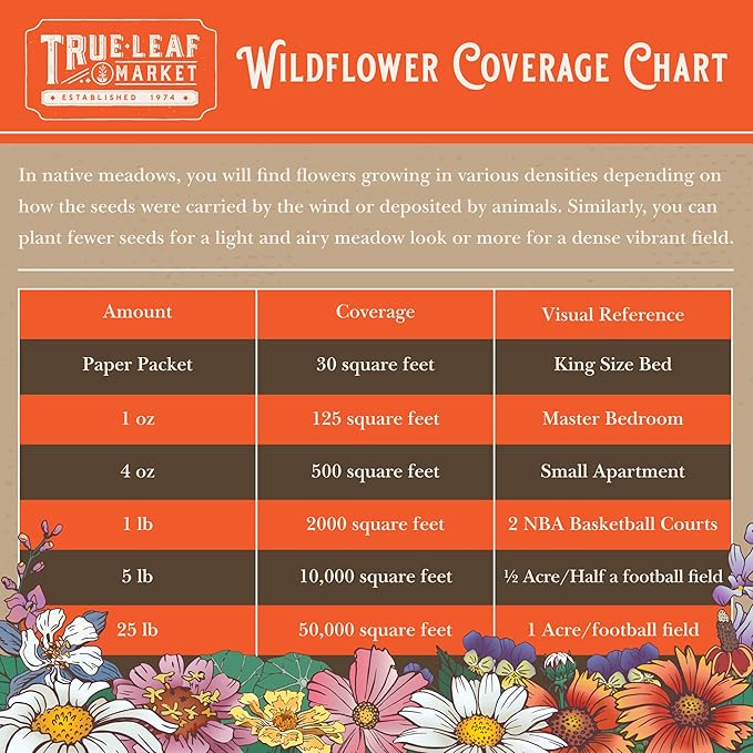 Wildflower Seeds Bulk, 2 Oz. 80,000+ Seeds, Rocky Mountain Wildflower Seeds, 18 Non-GMO Varieties of Rocky Mountain Flower Seeds - Rocky Mountain Seed Mix for Planting - Pollinator Wildflower Seeds